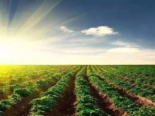 農(nóng)業(yè)為國之根本 未來農(nóng)業(yè)開發(fā)的小趨勢(shì)